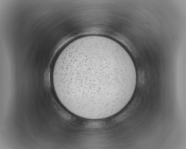 X0000111651078200908281044
