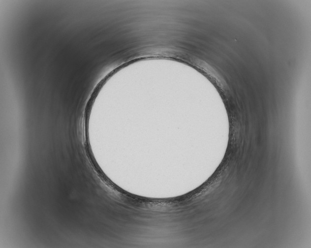 X0000111651079200908281044