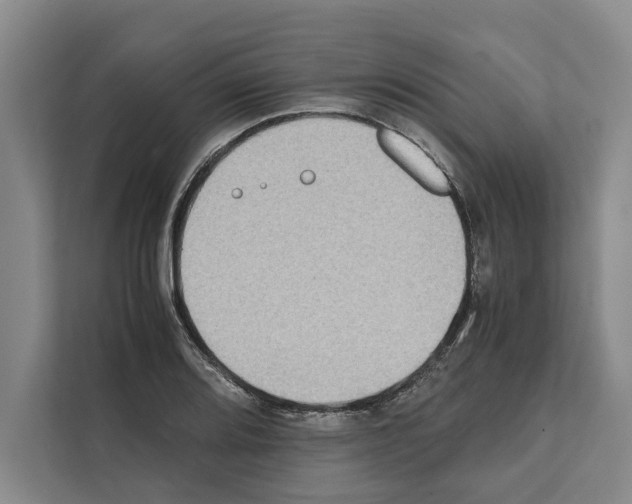 X0000111651080200908281044
