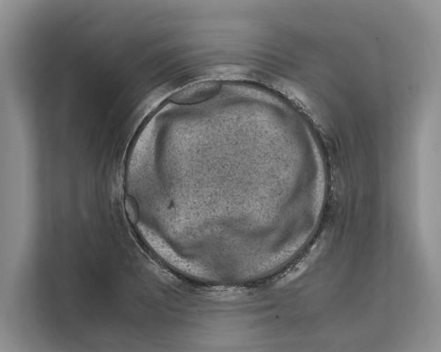 X0000111651081200908281044