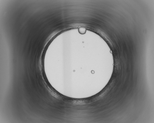 X0000111651082200908281044