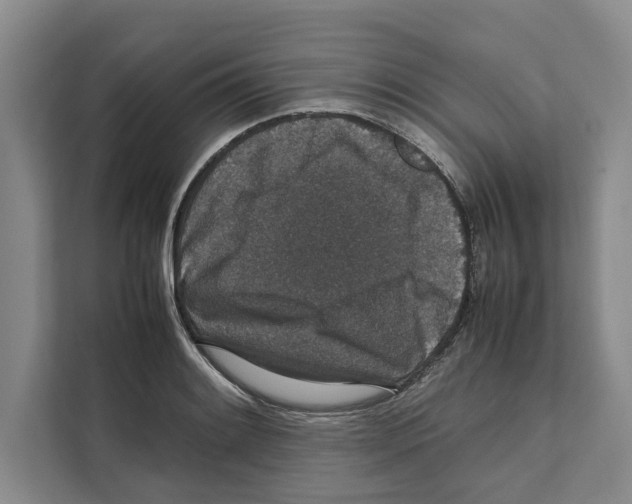 X0000111651084200908281044