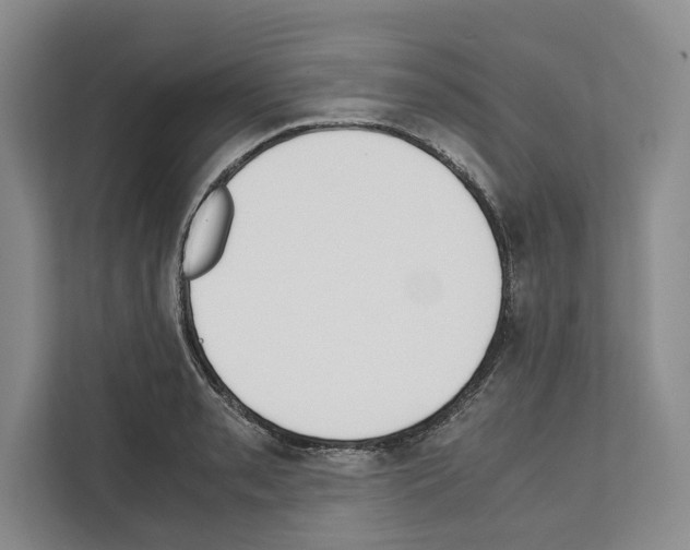 X0000111651085200908281044