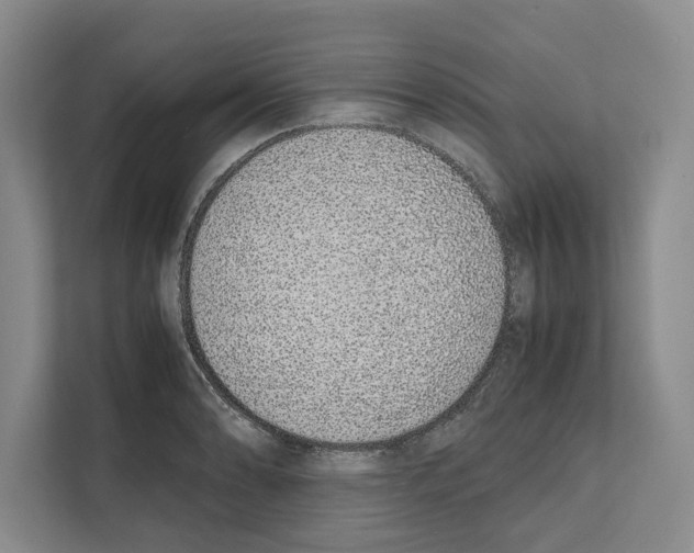 X0000111651086200908281044