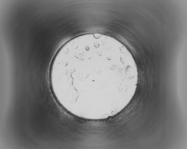 X0000111651087200908281044