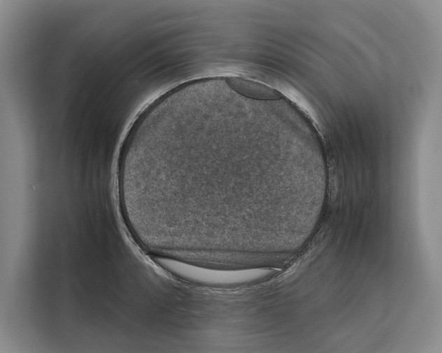 X0000111651088200908281044
