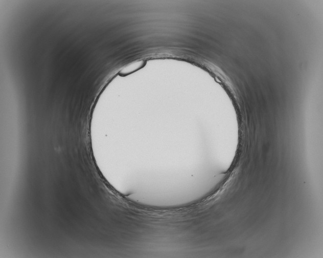 X0000111651089200908281044
