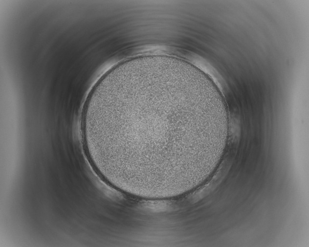 X0000111651090200908281044