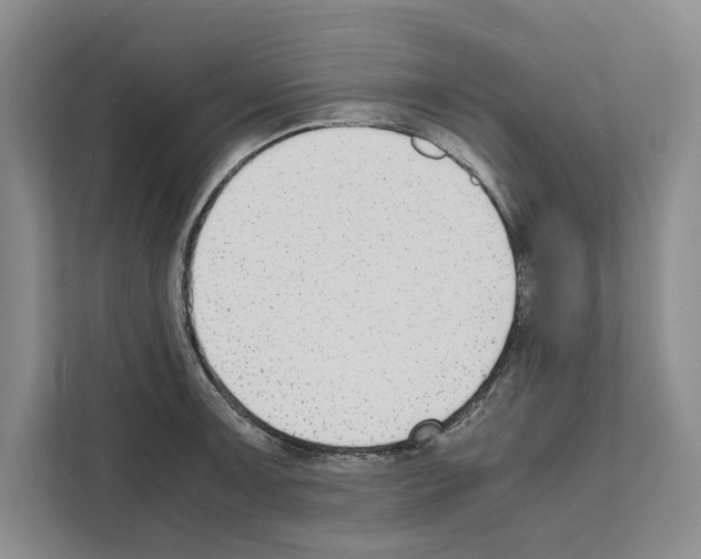 X0000111651091200908281044