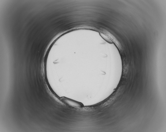 X0000111651092200908281044