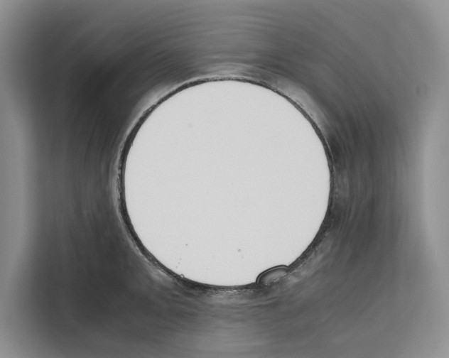 X0000111651093200908281044