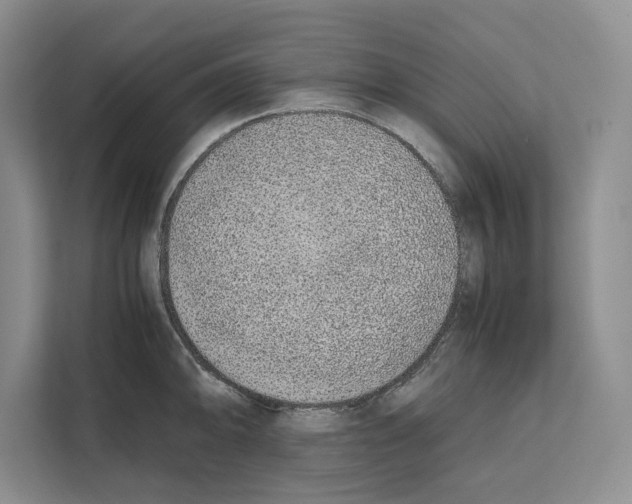 X0000111651094200908281044