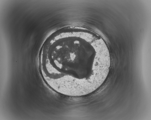 X0000111651095200908281044