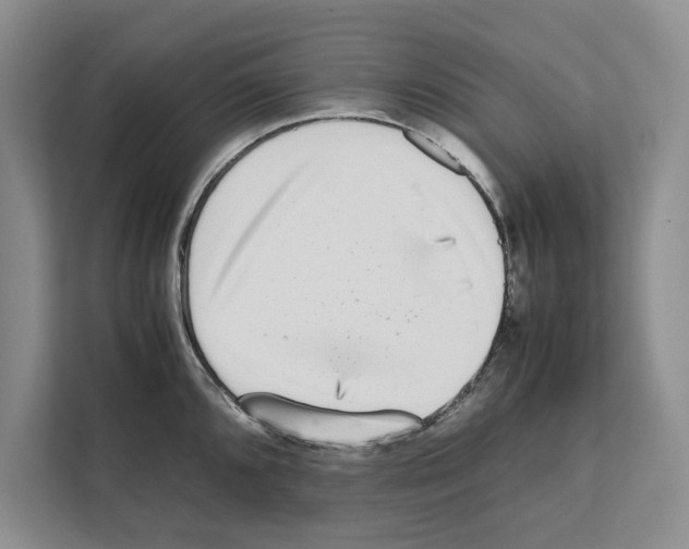 X0000111651096200908281044