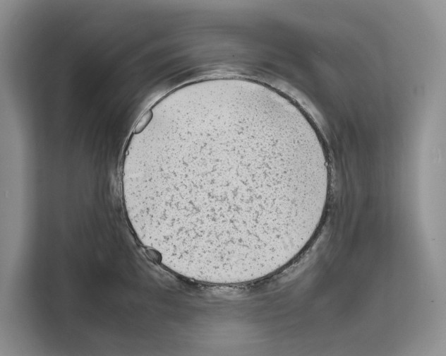 X0000111651097200908281044