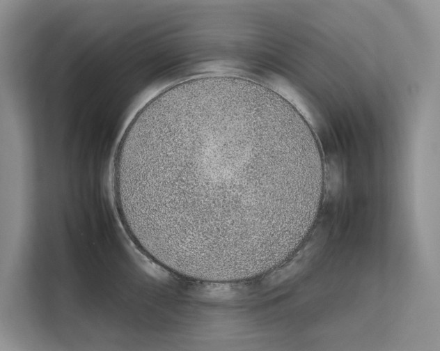 X0000111651098200908281044