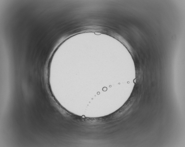X0000111651099200908281044
