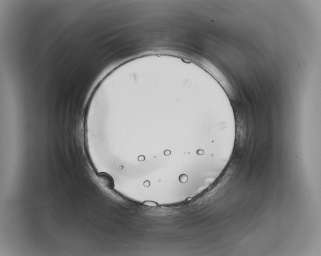 X0000111651100200908281044