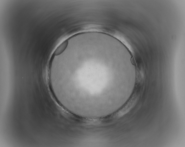 X0000111651101200908281044