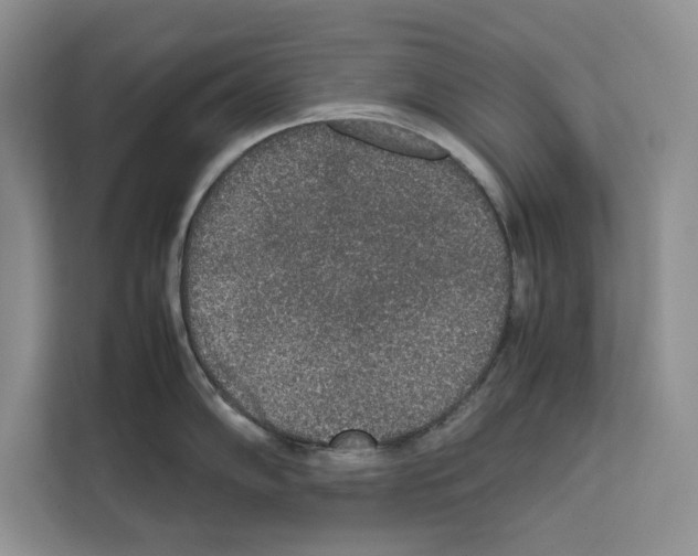 X0000111651102200908281044