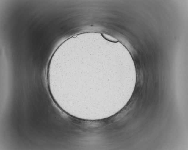 X0000111651103200908281044