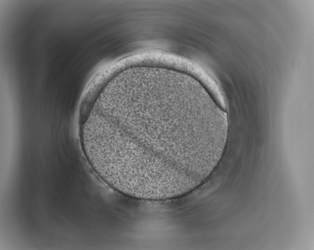 X0000111651104200908281044