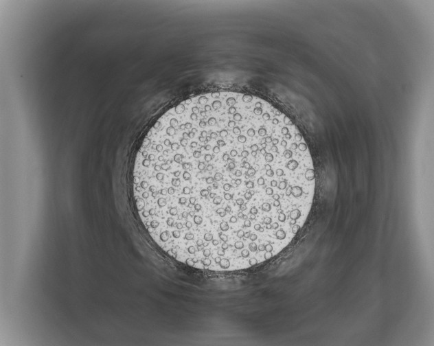 X0000111651105200908281043