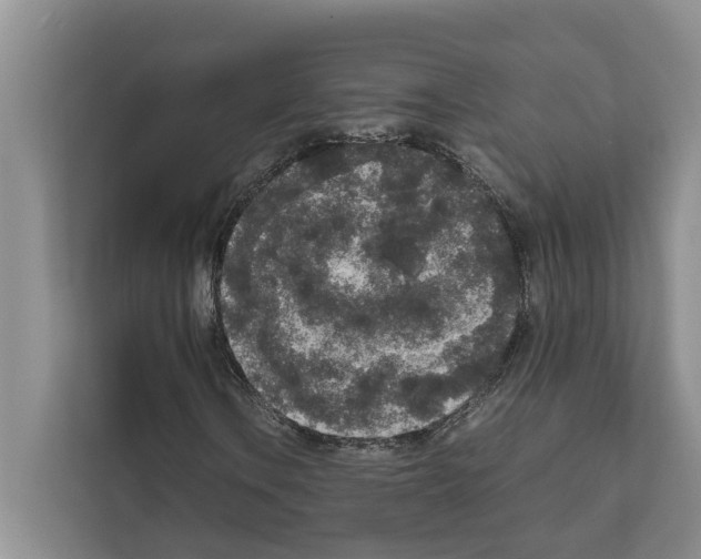 X0000111651106200908281043