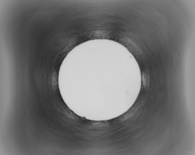 X0000111651107200908281043
