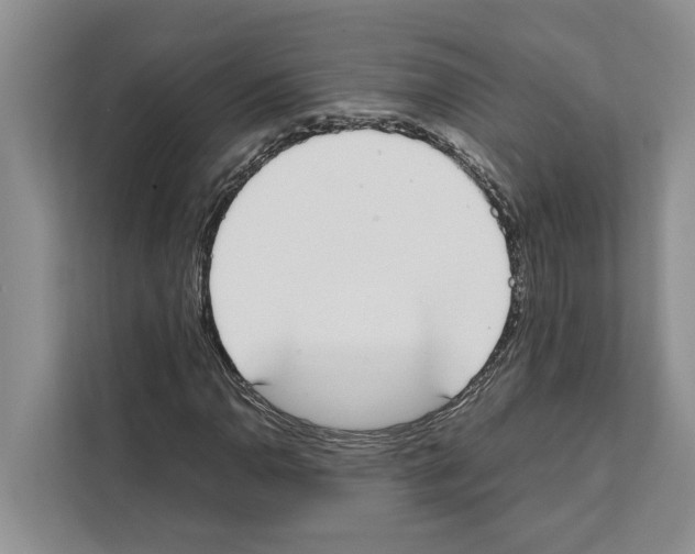 X0000111651110200908281043