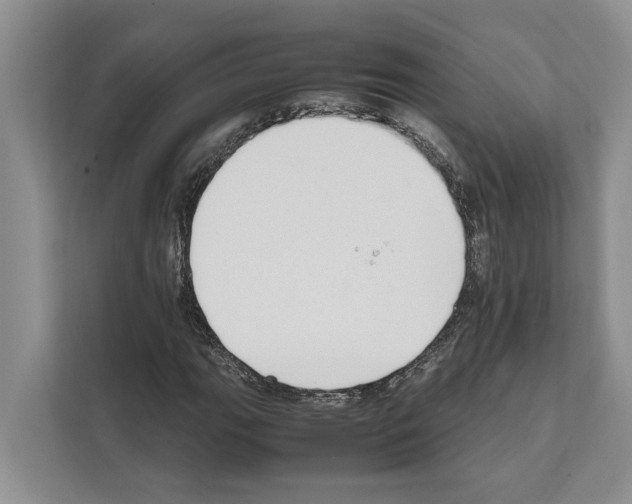 X0000111651111200908281043