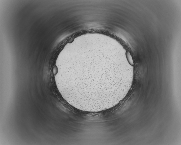 X0000111651112200908281043