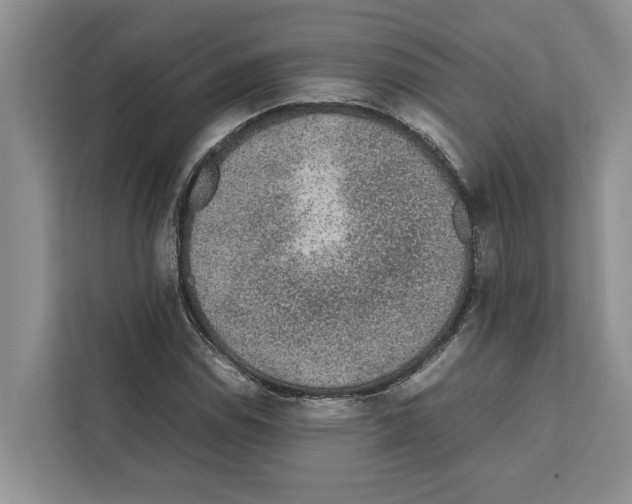 X0000111651114200908281044