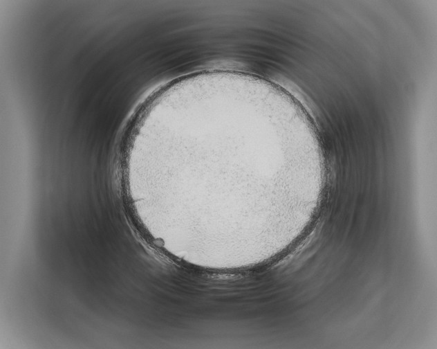 X0000111651115200908281044