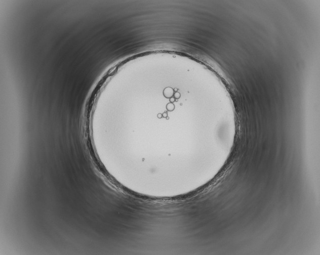 X0000111651116200908281044