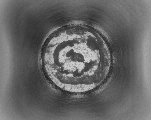 X0000111651117200908281044