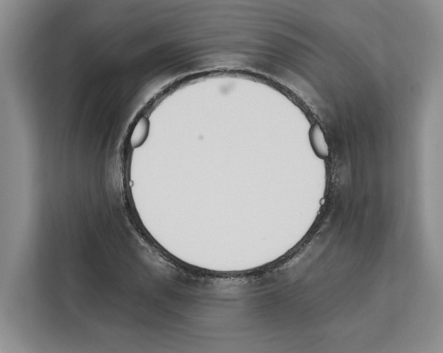 X0000111651118200908281044