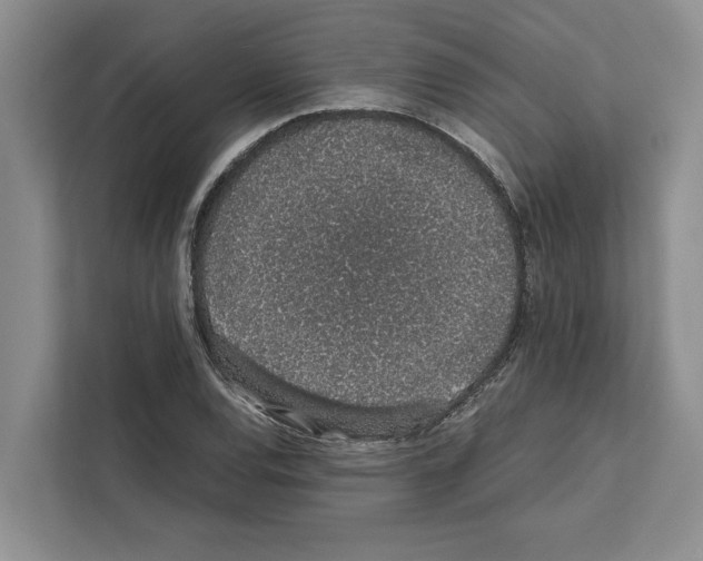 X0000111651120200908281044