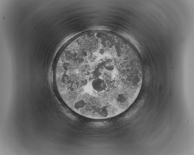 X0000111651125200908281044