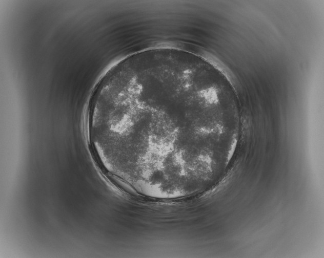 X0000111651127200908281044
