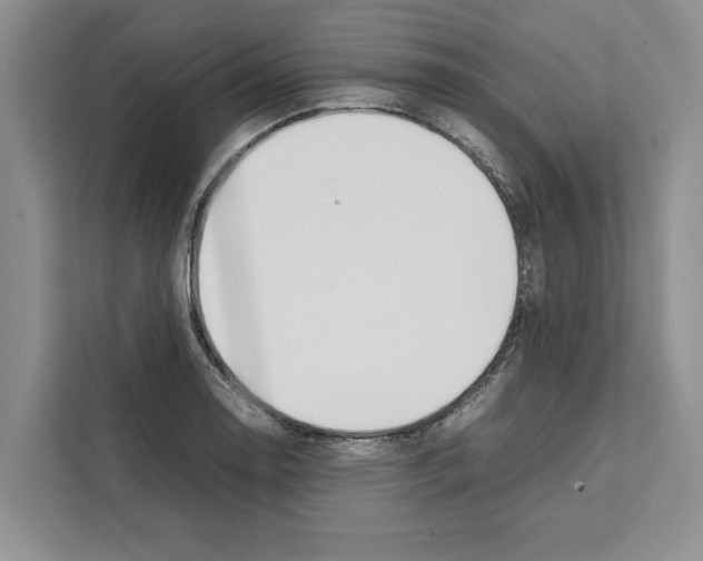 X0000111651130200908281044