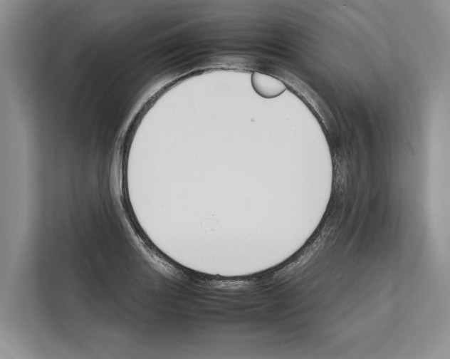 X0000111651131200908281044