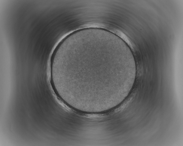 X0000111651132200908281044
