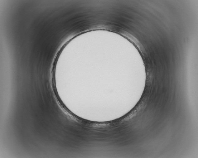 X0000111651135200908281044