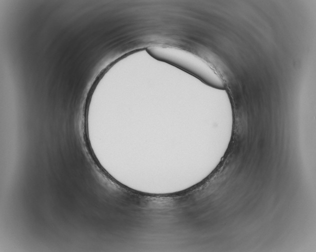 X0000111651136200908281044