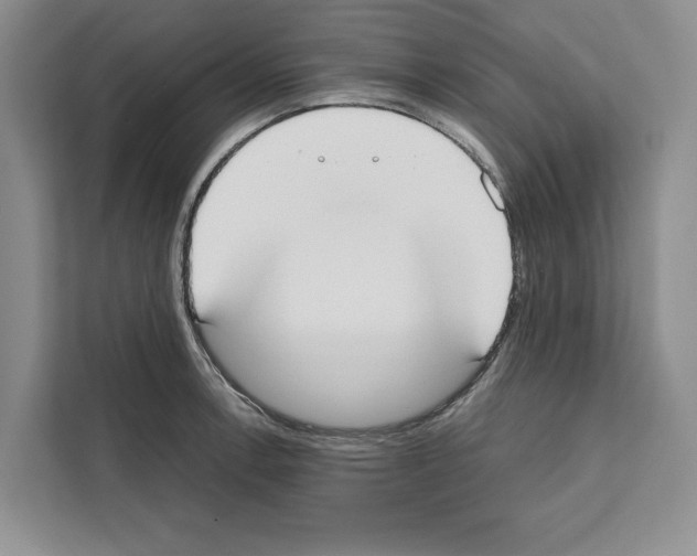 X0000111651138200908281044
