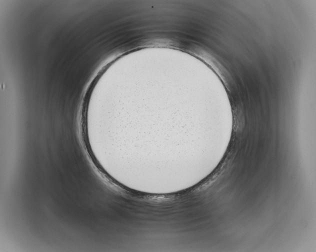 X0000111651139200908281044