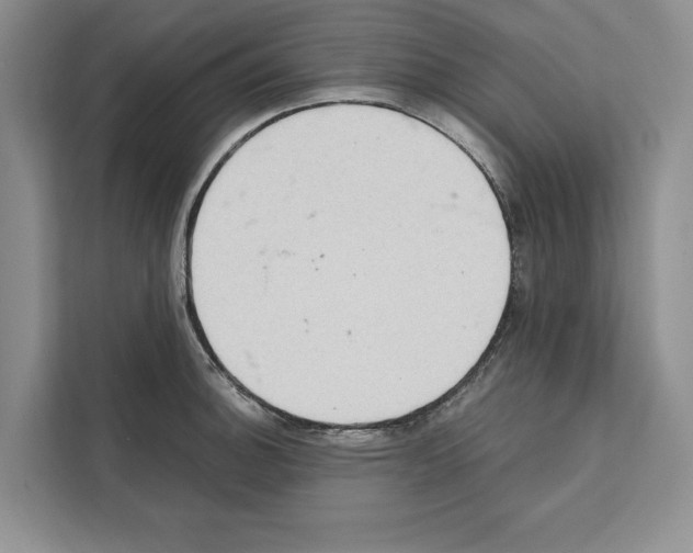 X0000111651140200908281044