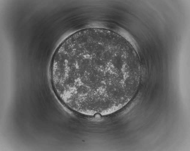 X0000111651141200908281044