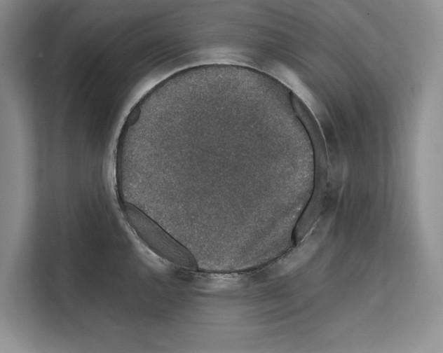 X0000111651144200908281044